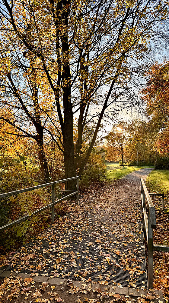 Vorschau der Wanderung.